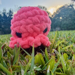 Crochet Mini Octopus- Pink